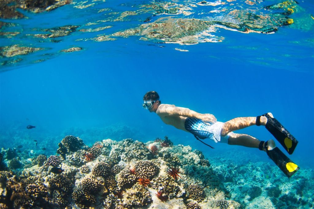 Southern Adventure Explorer — gallery