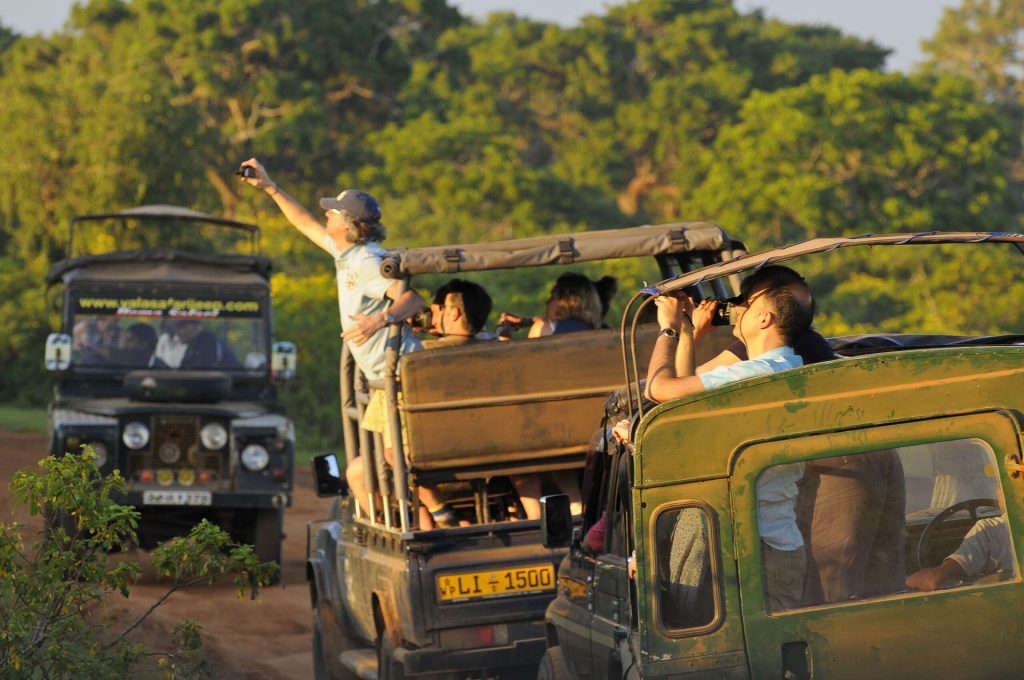 Magical Sri Lanka Family Journey — gallery