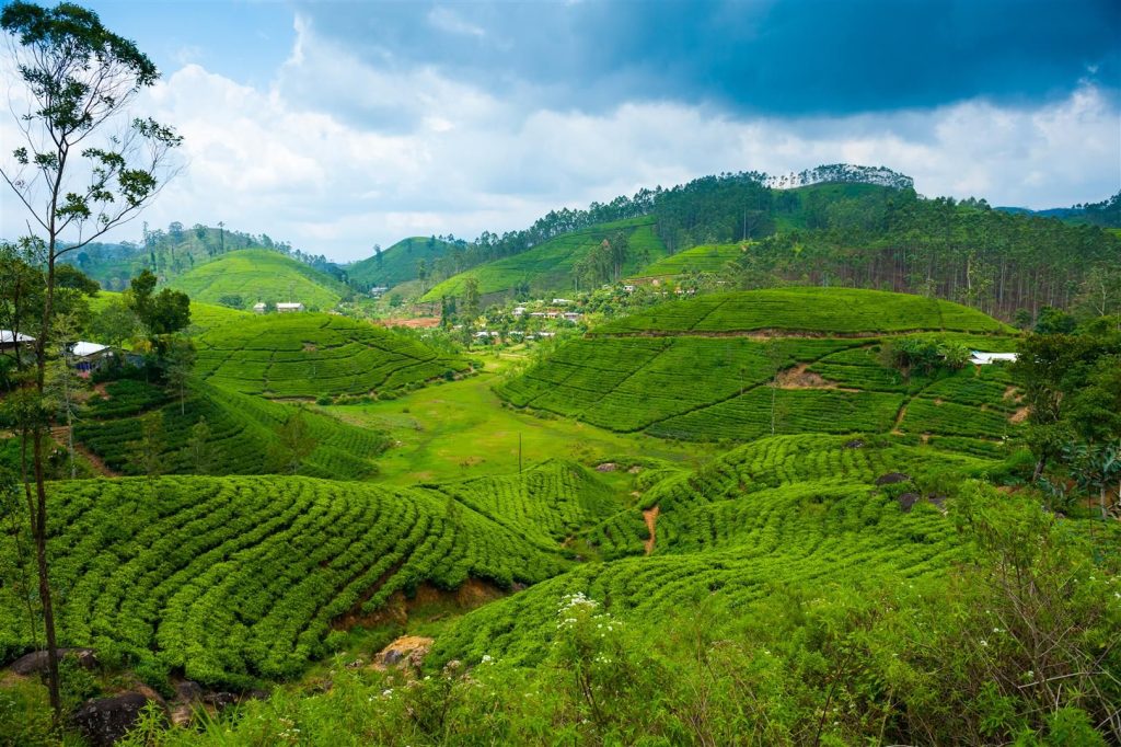 Venture Further Sri Lanka — gallery